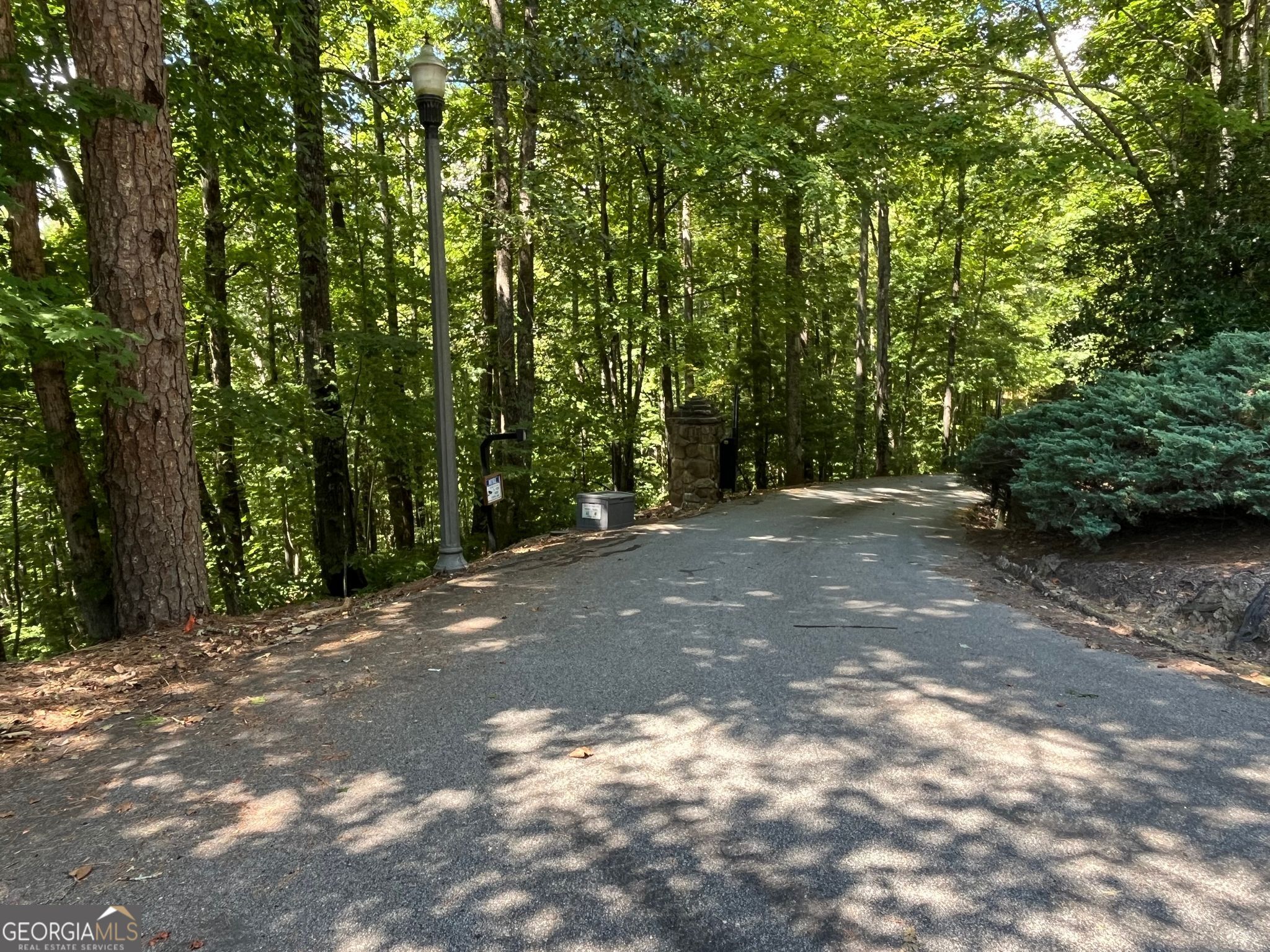 LOT 7 Forest Canopy WAY