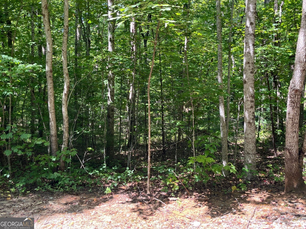 Photo of 7 Forest Canopy Way, Clayton, GA 30525 (MLS # 10839726)