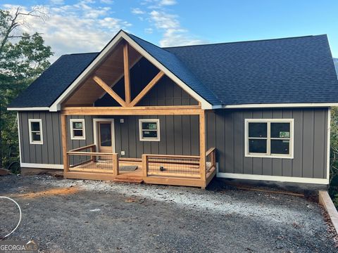 438 Mill Ridge RD Hiawassee GA 30546