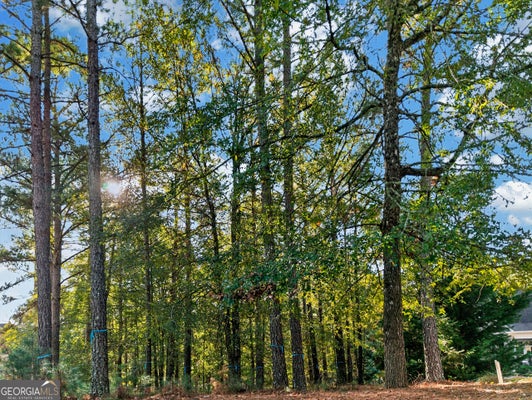 1051 BRIDLE BIT LN, GREENSBORO, GA 30642 - Image deaebee2a7bd044cb49ab64ce1cfec68/2513612852