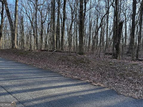 Photo of 183 St Andrews Way, Ellijay, GA 30536 (MLS # 10674544)