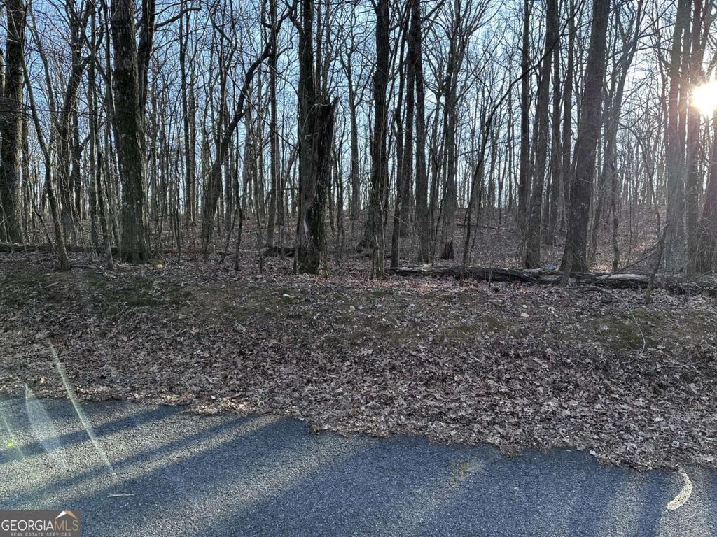 Photo of 183 St Andrews Way, Ellijay, GA 30536 (MLS # 10674544)