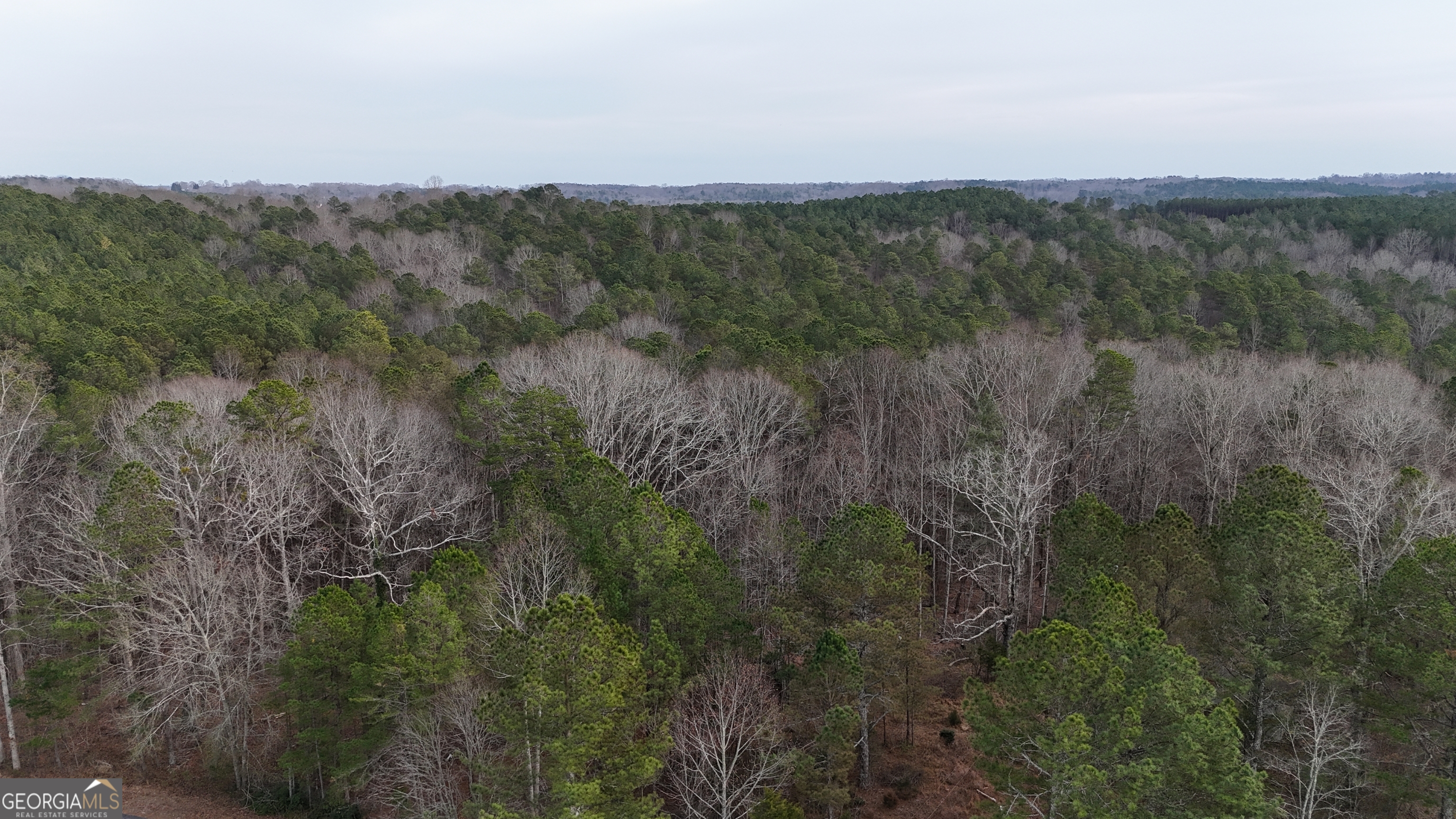 346 Clayton Chester RD