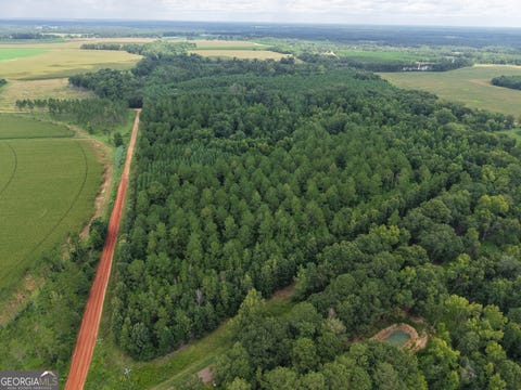 Photo of 775 Fains Hatchery Road, Edison, GA 39846 (MLS # 10809332)