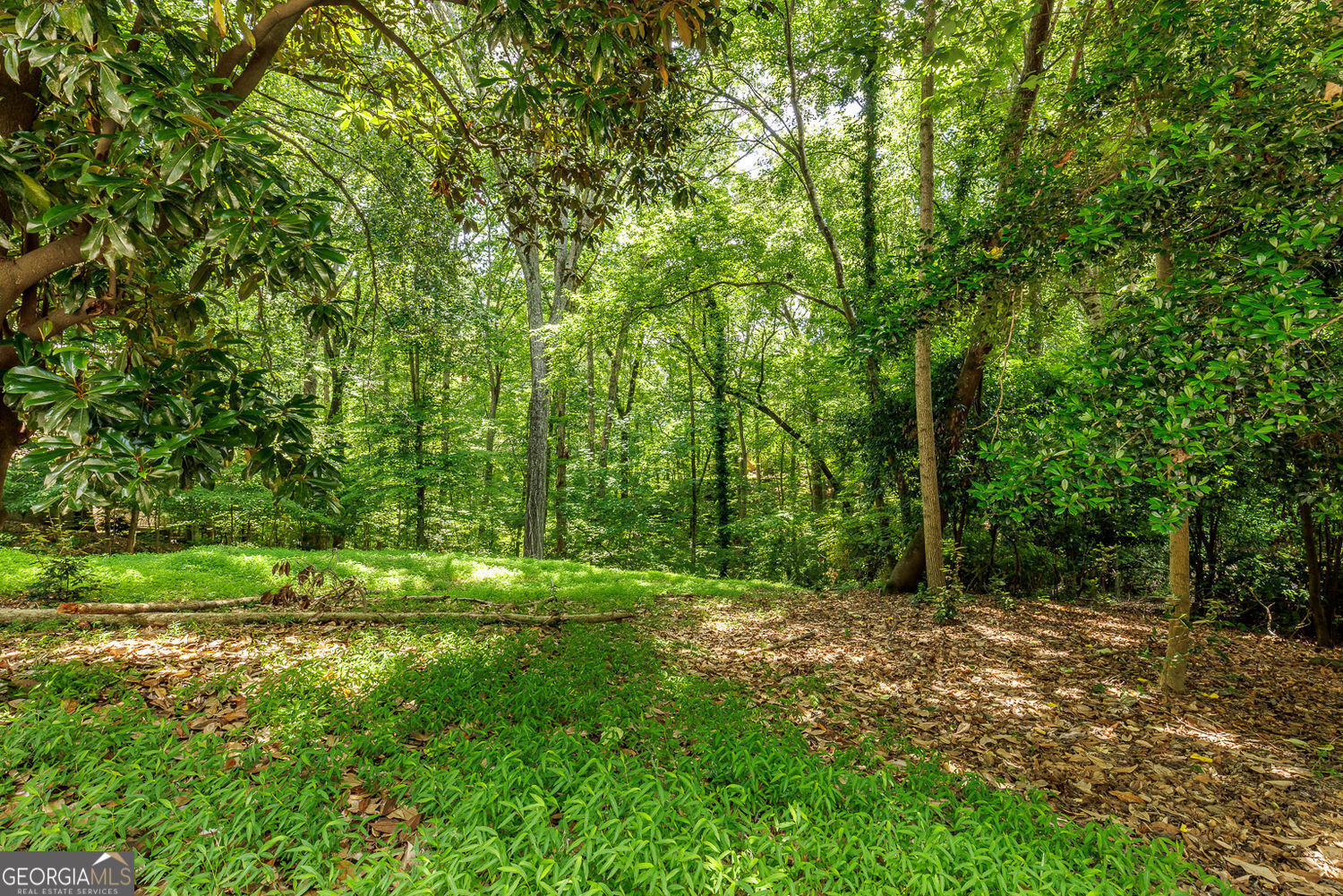8175 Habersham Waters RD