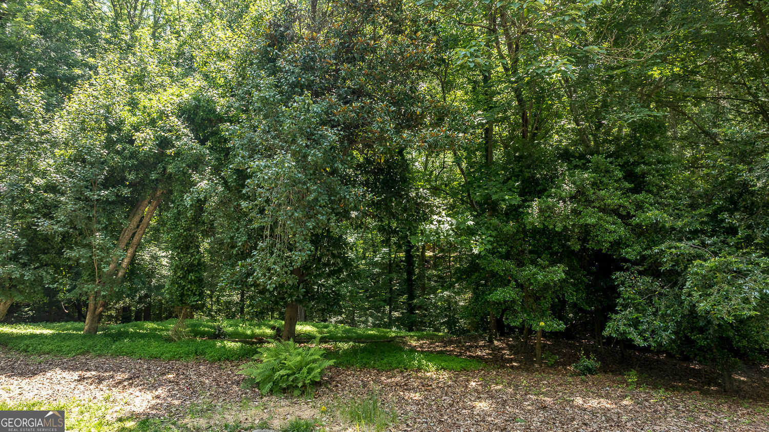 8175 Habersham Waters RD