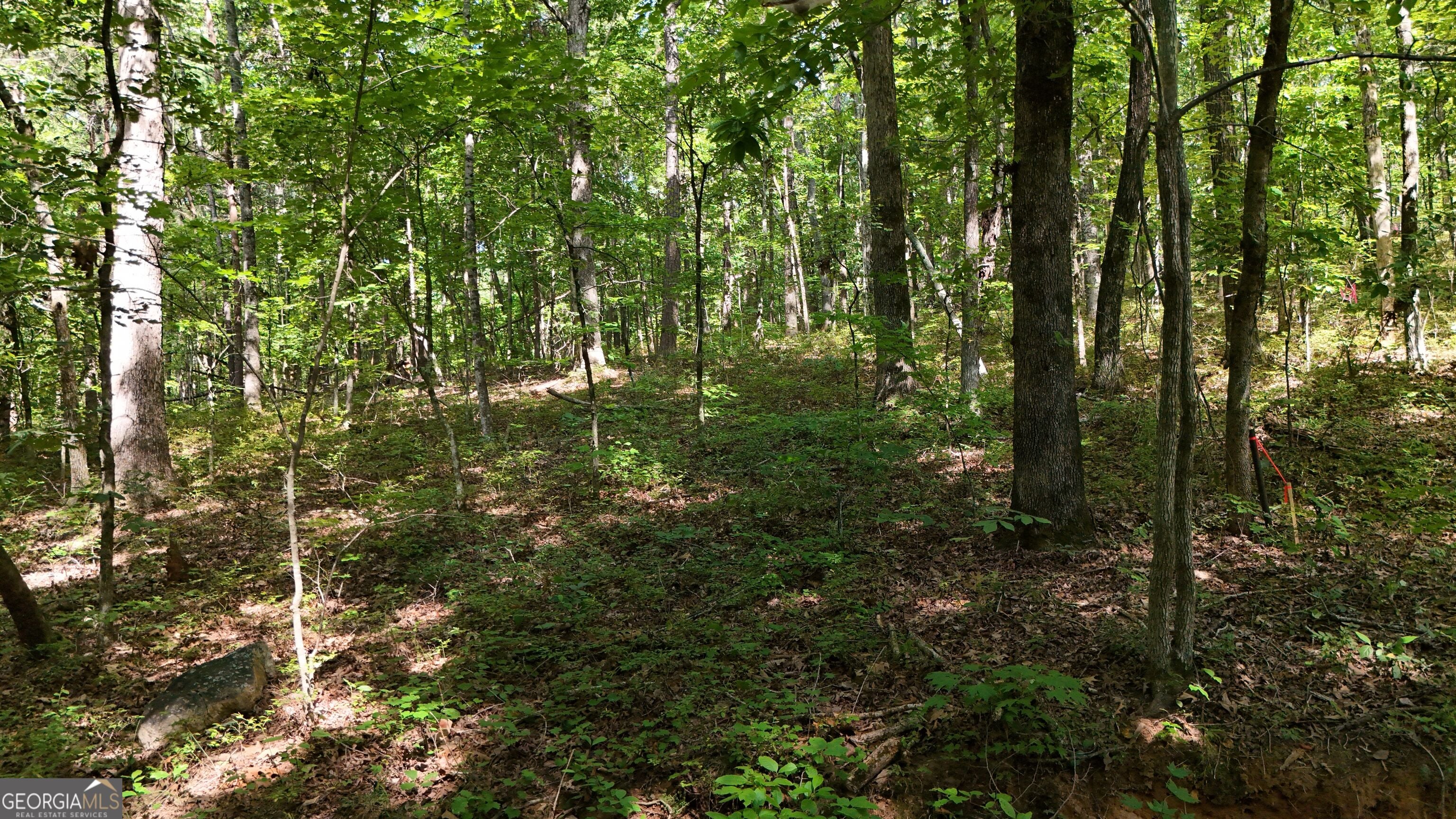 LOT 183 Hillside DR