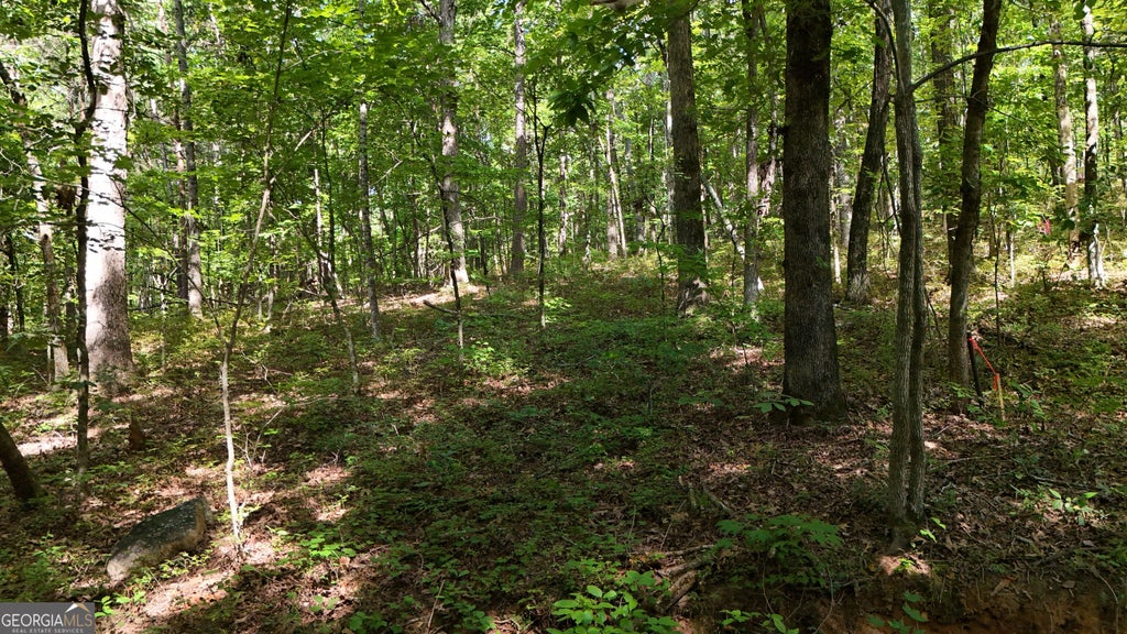 Photo of 183 Hillside Drive, Clarkesville, GA 30523 (MLS # 10830116)