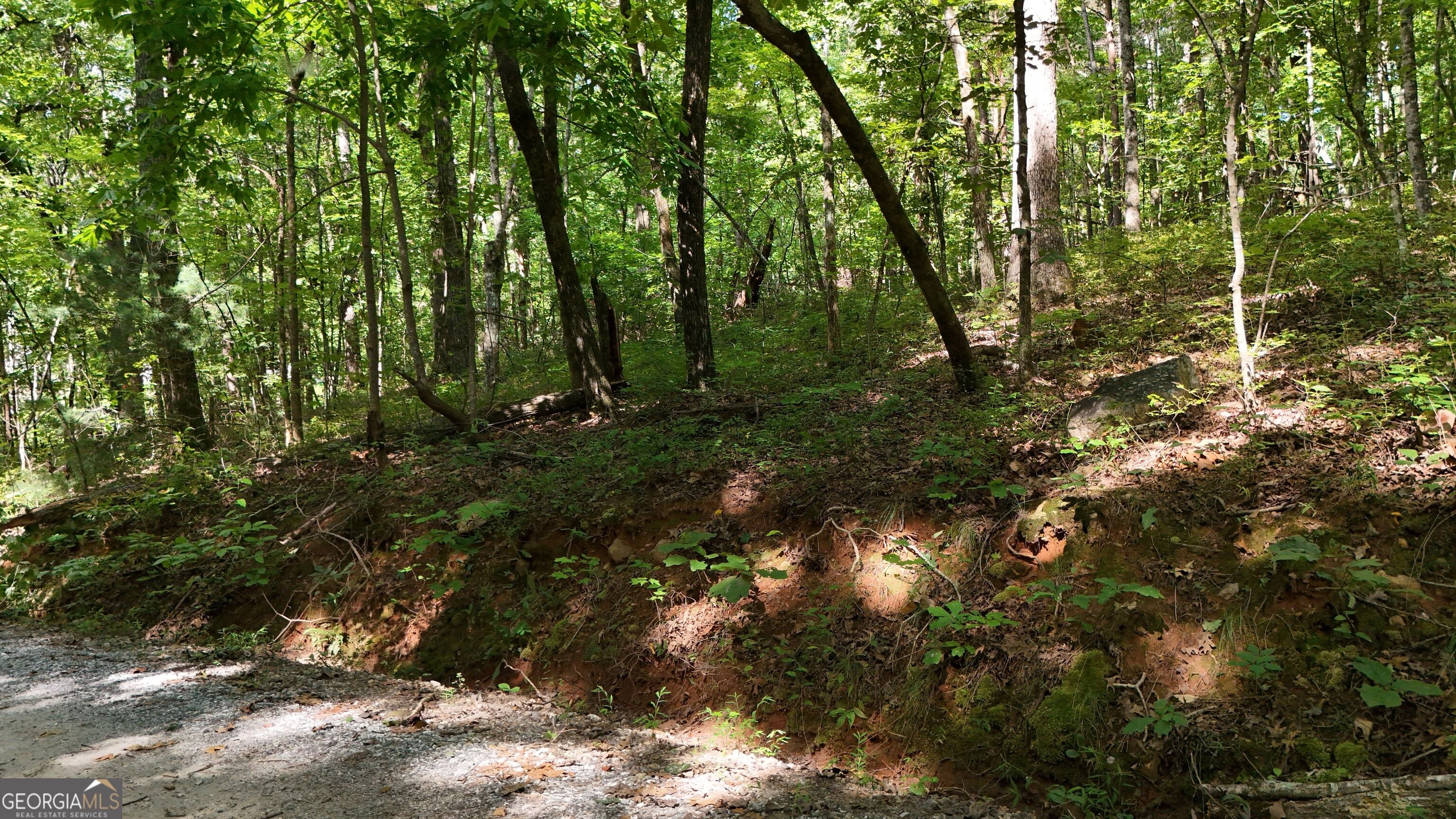 LOT 183 Hillside DR
