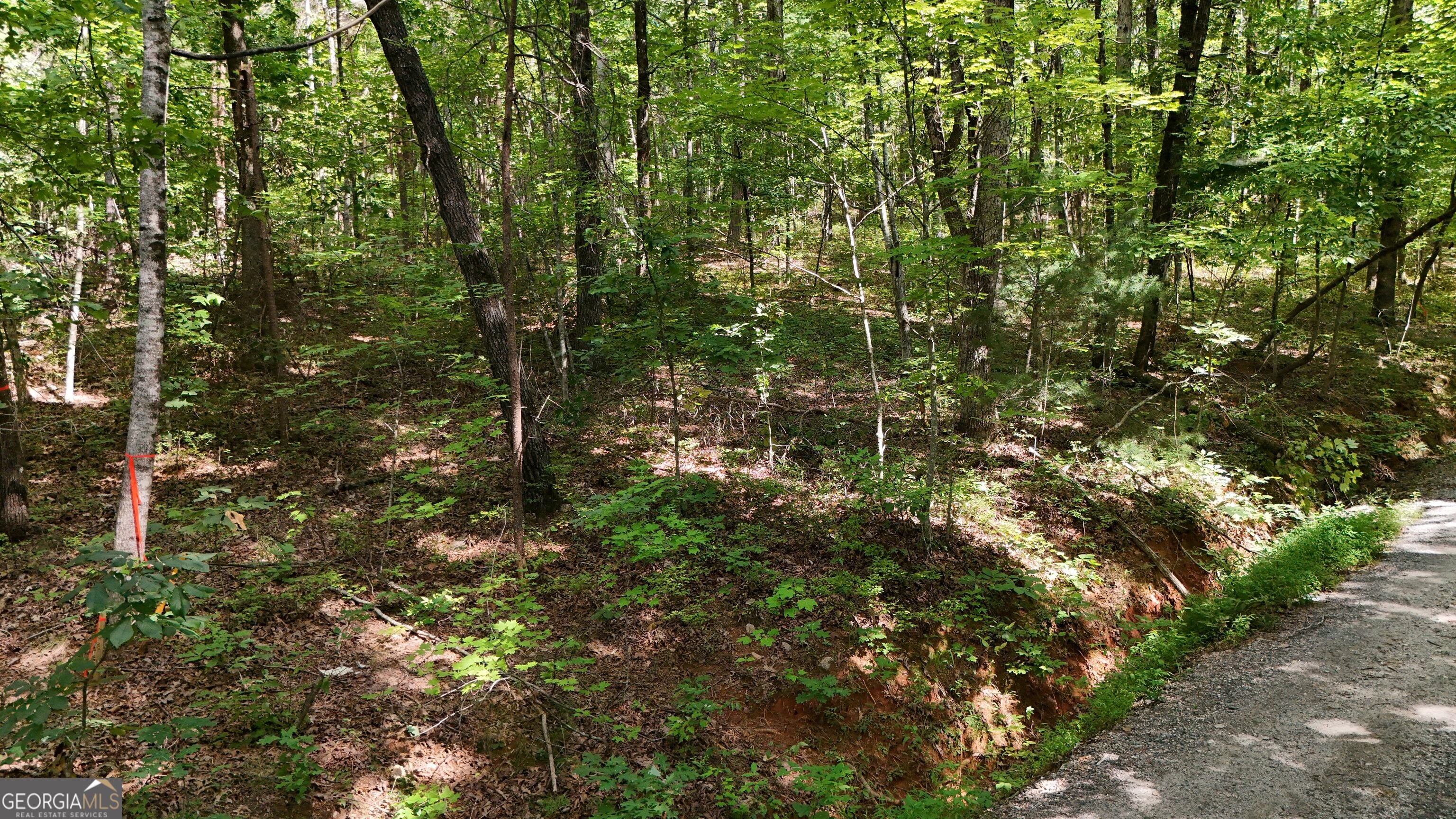 LOT 183 Hillside DR