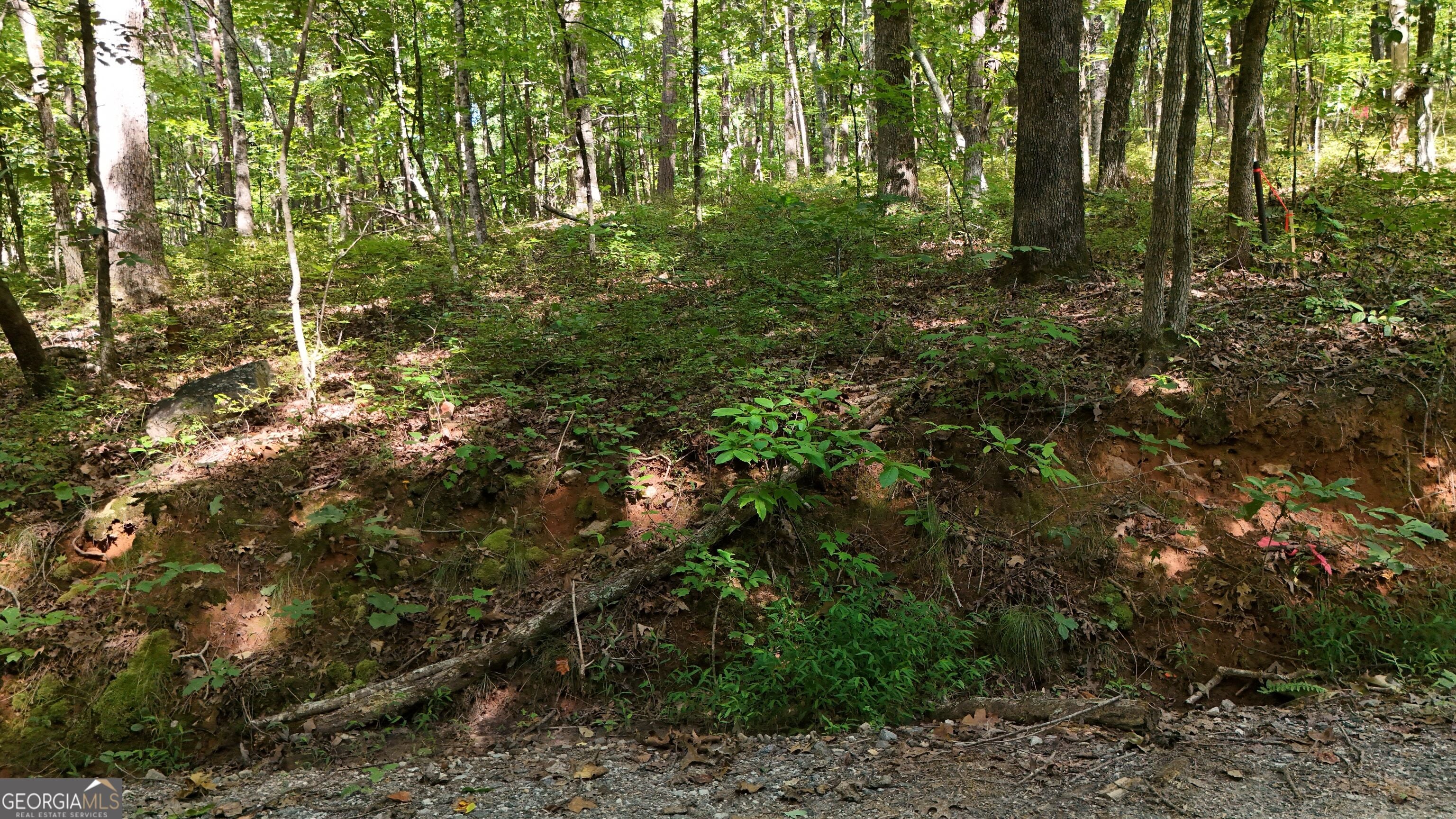 LOT 183 Hillside DR