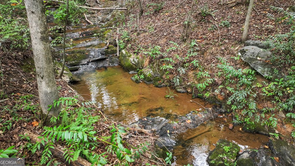 Photo of 320 Hickory Ridge Drive, Cleveland, GA 30528 (MLS # 10735610)