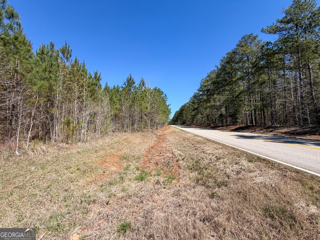 Photo of 25 +/- Acres on GA Hwy 34 - Tract 3, Franklin, GA 30217 (MLS # 10851646)