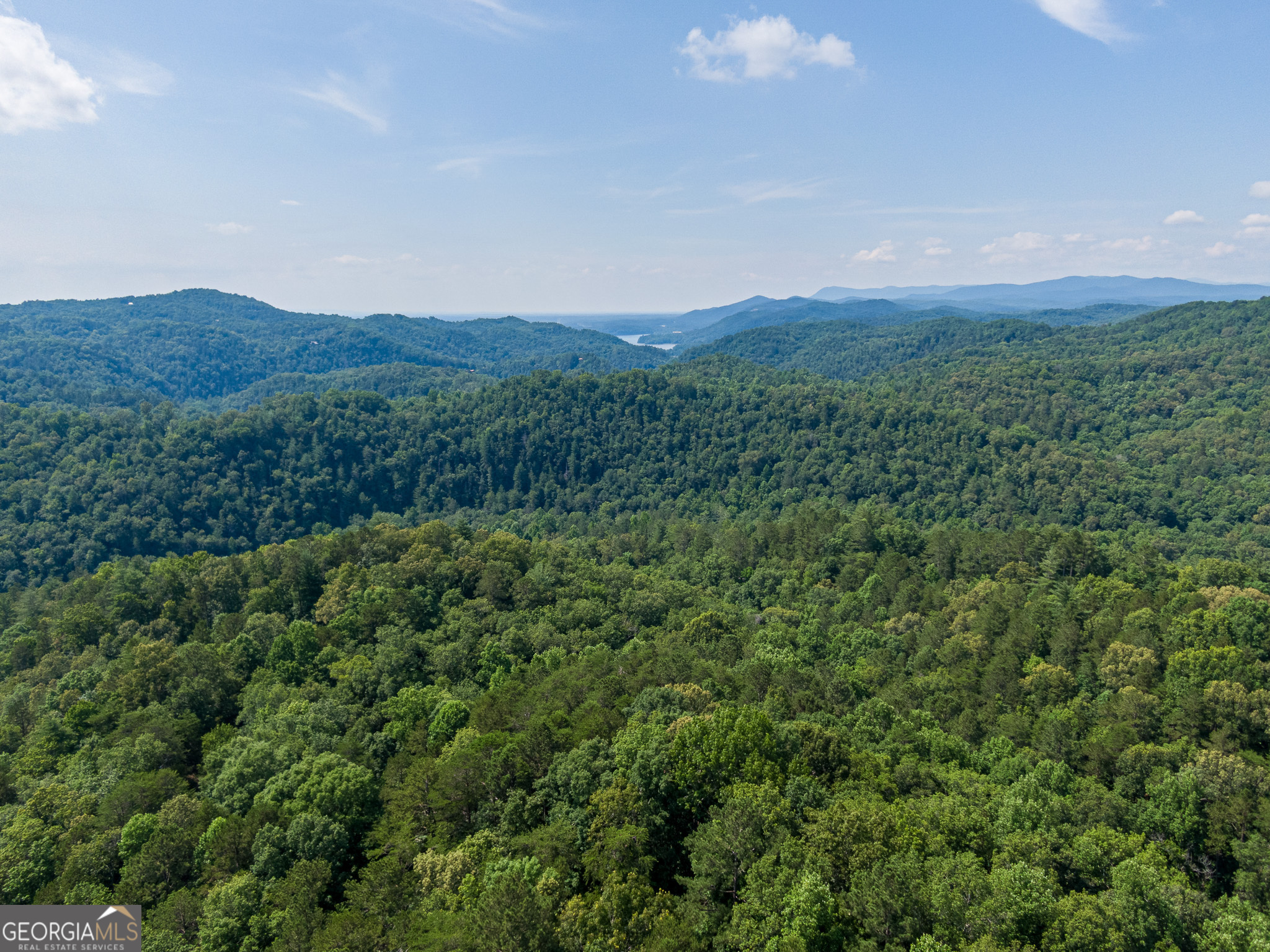 Privacy with a sense of community is an understatement in the best kept secret in North Georgia. Talking Rock Creek Resort consists of 5,000+ acres, sitting gracefully only an hour from Atlanta, Chattanooga, minutes to Blue Ridge and right across from Carters Lake. Here you will find 122+ miles of roads to explore, 2 pools, private stocked lake, 2 tennis courts, basketball, fitness center, clubhouses, a chapel, 3 gated entries, security and a one of a kind private creek beach located at The Trout Lodge. You may find on some days you will see more deer, turkey, the elusive fox, occasional bear or community peacock than you may see people! TRCR is perfectly situated within minutes to multiple hiking trails, rivers, biking trails, vineyards, orchards, shopping and so much more! Life is a little more laid back and quieter in the 706 area code, come see what the 706 Life is about and why so many chose to call Talking Rock Creek Resort HOME!