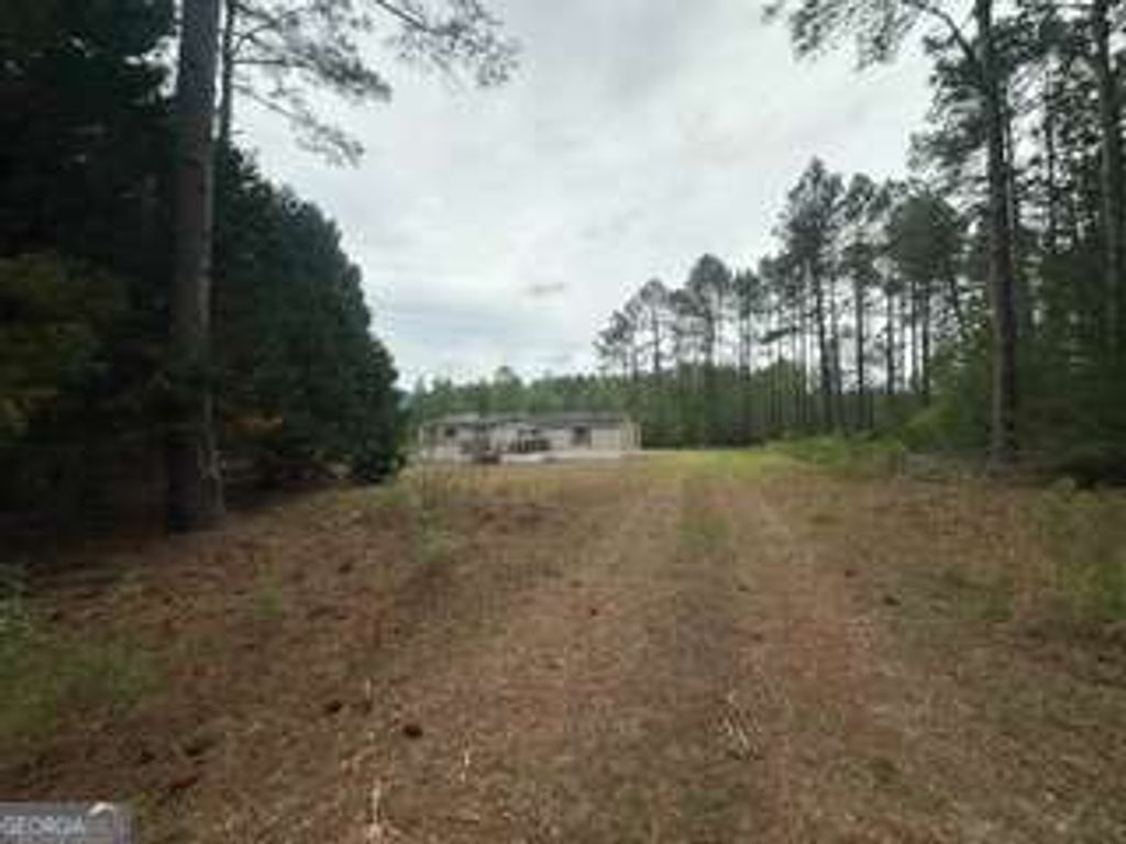 Photo of 3115 Deer Run Road, Statesboro, GA 30461 (MLS # 10761469)
