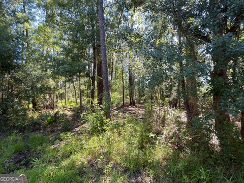 Photo of 0 Mallard Pond Road, Midway, GA 31320 (MLS # 10808812)