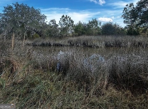Photo of 0 Mallard Pond Road, Midway, GA 31320 (MLS # 10808812)