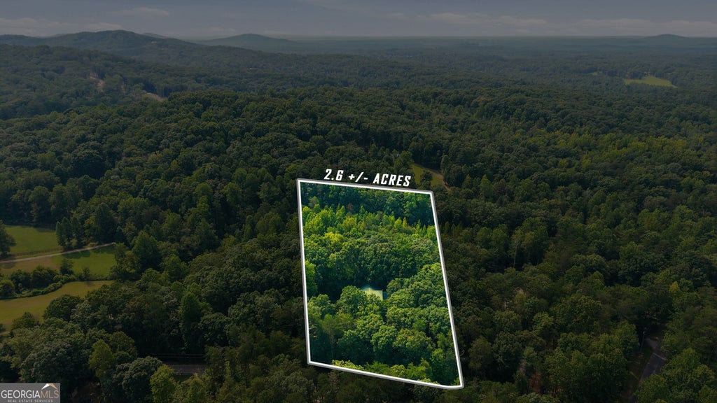 Photo of 491 Jim Carter Road, Clarkesville, GA 30523 (MLS # 10835434)