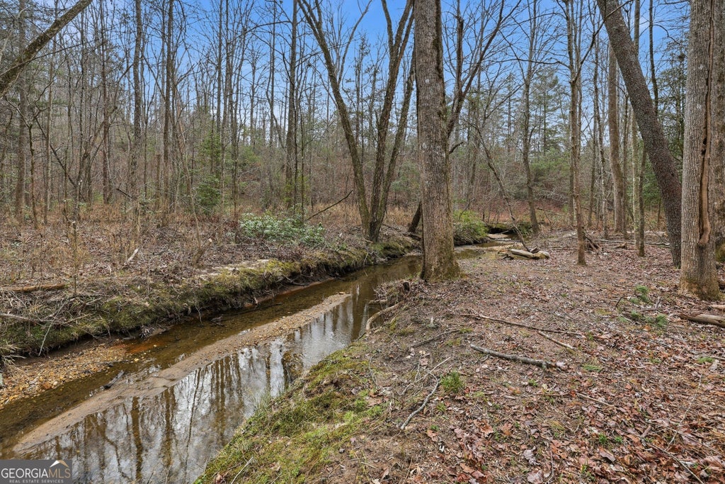 Photo of 491 Jim Carter Road, Clarkesville, GA 30523 (MLS # 10835434)