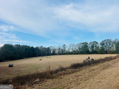 Photo of 00 Fouche Road #LOT 2B & 2C, Buena Vista, GA 31803 (MLS # 10684283)