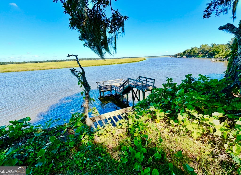 Photo of 1334 Azalea Road NE, Townsend, GA 31331 (MLS # 10837612)