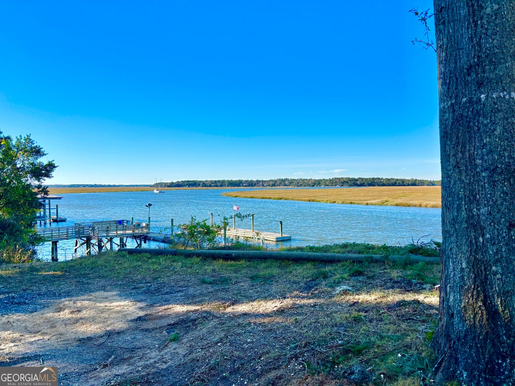 Photo of 1334 Azalea Road NE, Townsend, GA 31331 (MLS # 10837612)