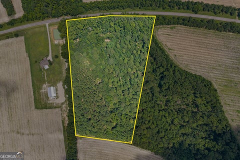 Photo of 17384 Old River Road, Garfield, GA 30425 (MLS # 10836367)