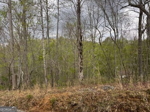 0 Aspen CT Ellijay GA 30540