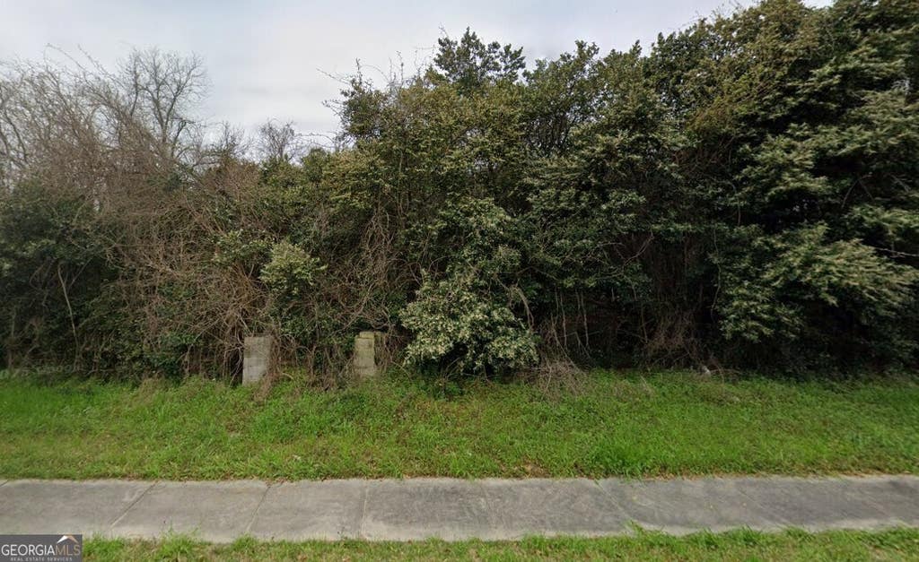 Photo of 208 Railroad Street, Brooklet, GA 30415 (MLS # 10783064)