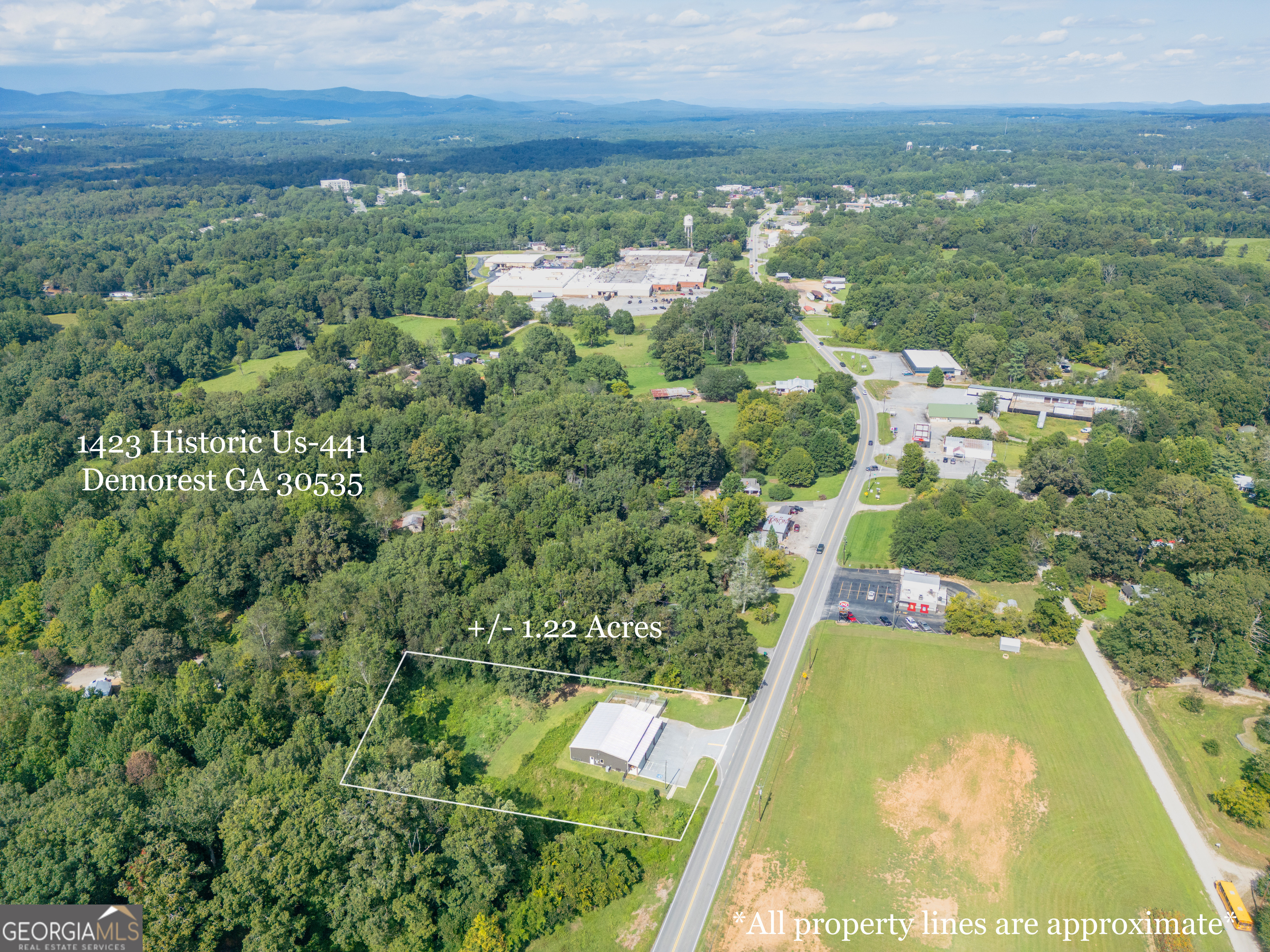 Demorest, Georgia 30535, United States, ,Commercial,Active,204731