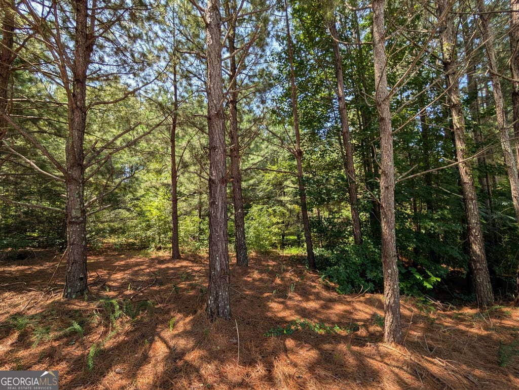 Photo of 0 Brookmont Parkway, Douglasville, GA 30135 (MLS # 10826953)