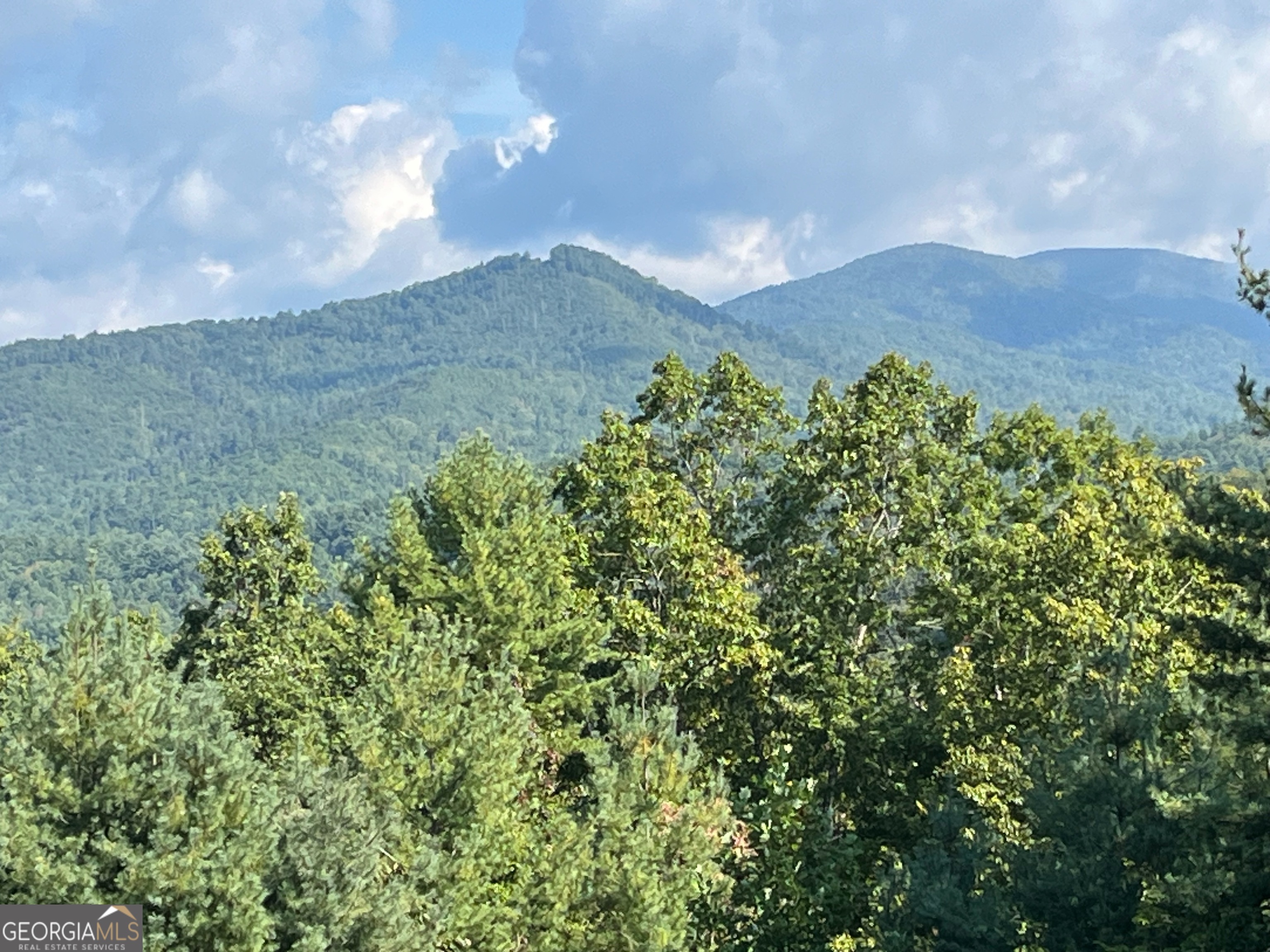 Come see this 3 acre home-site with North facing views of the big mountains. One of Rabuns best locations, in the Persimmon Community, this lot will offer easy access to thousands of acres of UFS lands. Hiking, biking, ATV, hunting and trout fishing are all just out the door. If you are a nature lover, you hav arrived! This lot is graded off for your home construction. Ideal for a home with a basement beneath. The lot runs from road above to the road below so the trees in the view line are on this property and can be trimmed to maintain the view. There is an existing drilled well on the property. Soil work for septic system is done and on record with the County. No HOA but a shared PAVED road with a small annual road fee. Light Restrictive covenants in place.