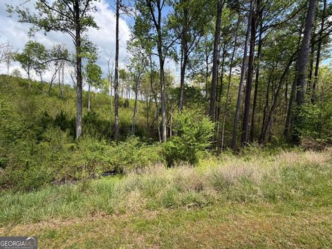 Photo of 238 Lecroy Drive, Ellijay, GA 30540 (MLS # 10739314)