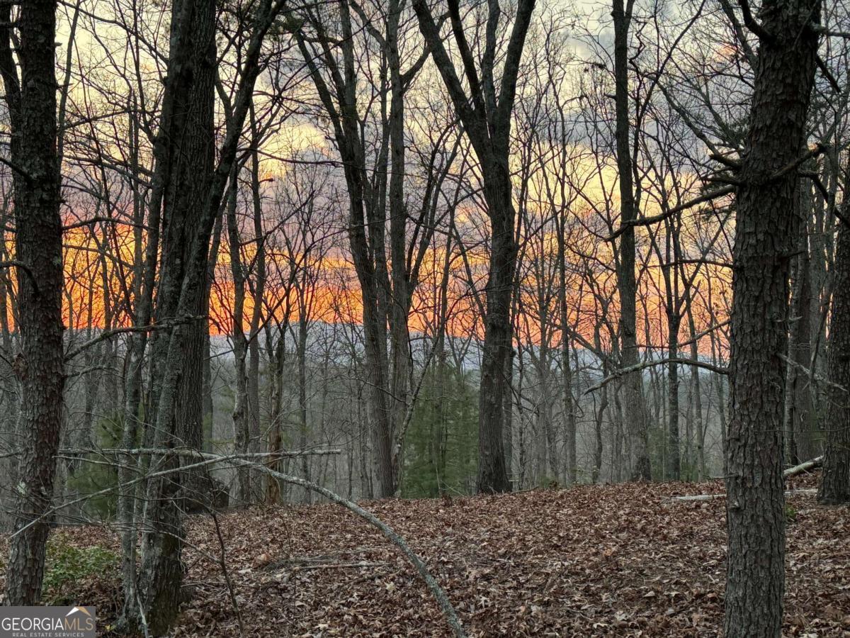 195 Wolf Creek Mountain RD