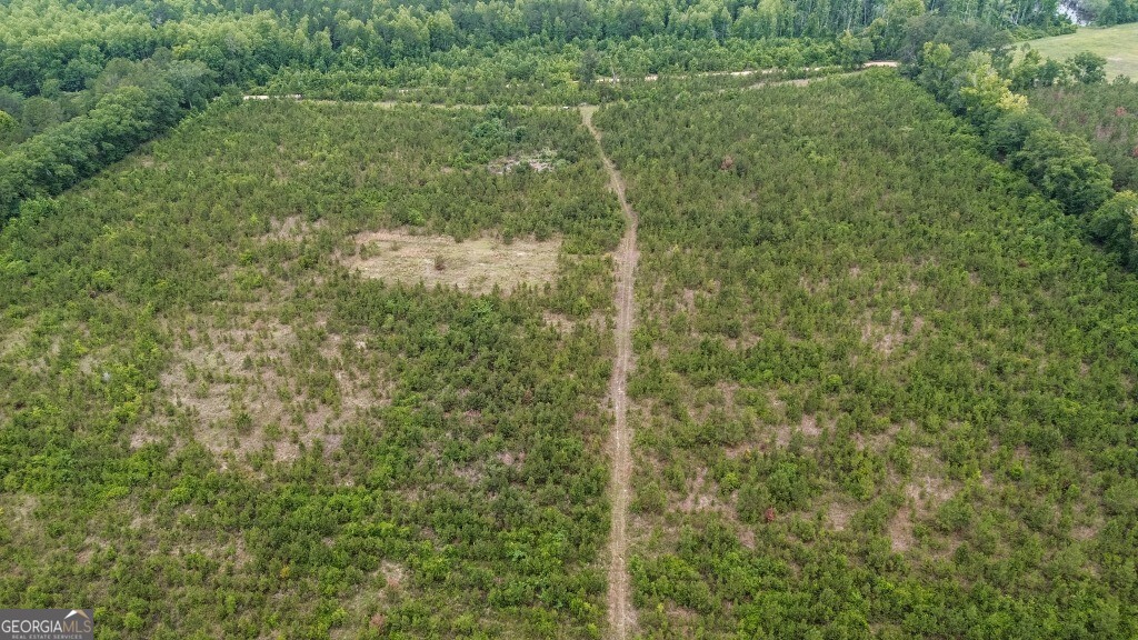 0 Adams Hammock RD