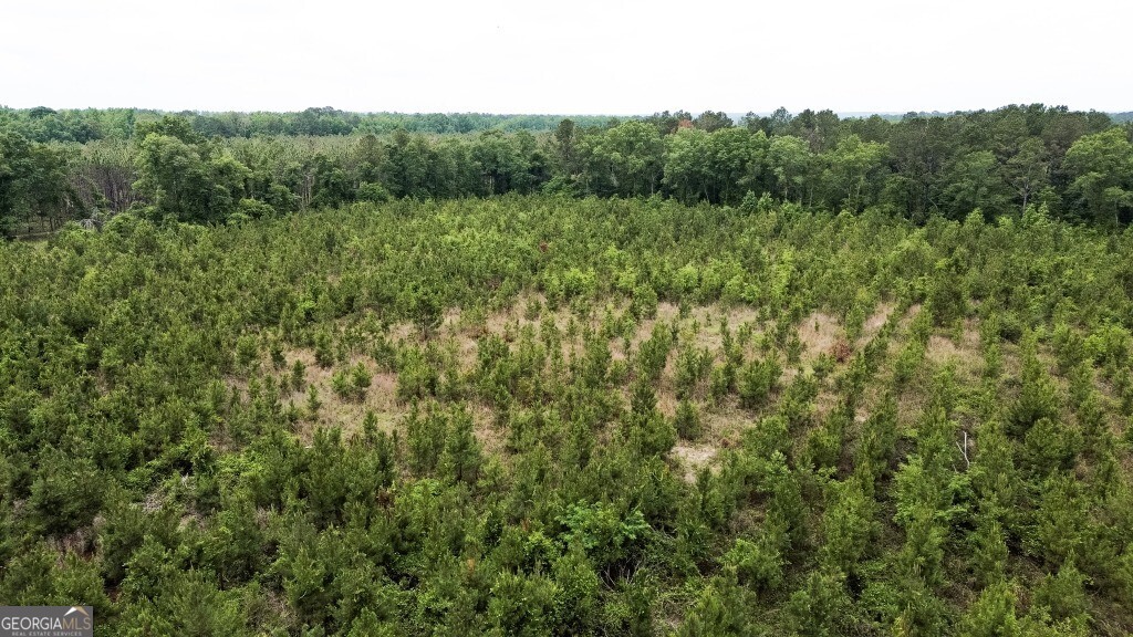 0 Adams Hammock RD