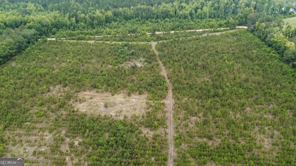 0 Adams Hammock RD