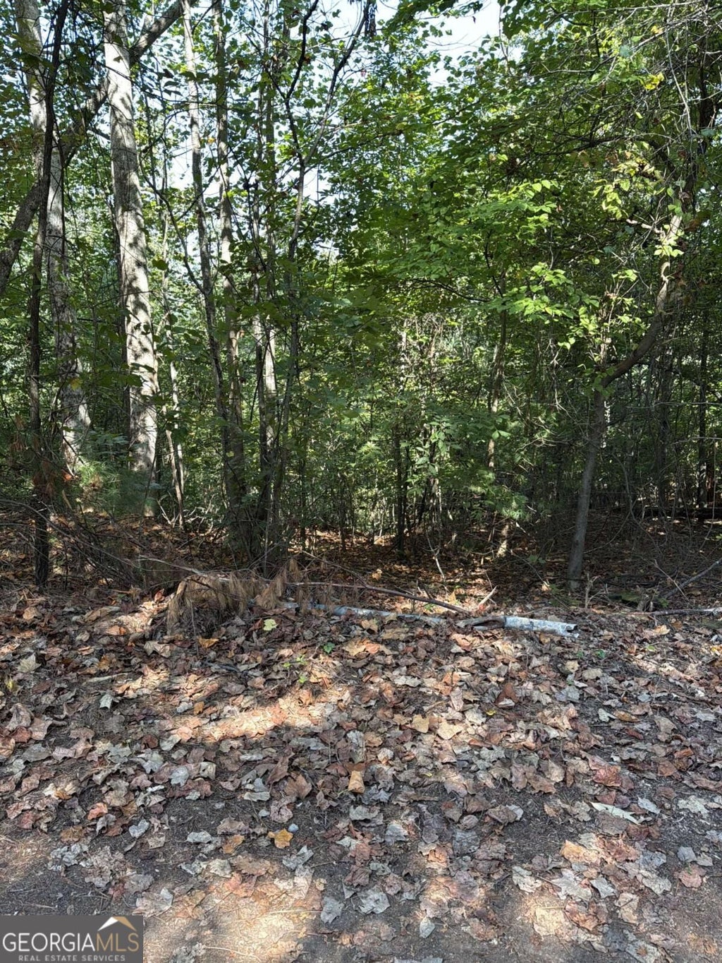 Photo of 946 Aurora Lane, Ranger, GA 30734 (MLS # 10849569)