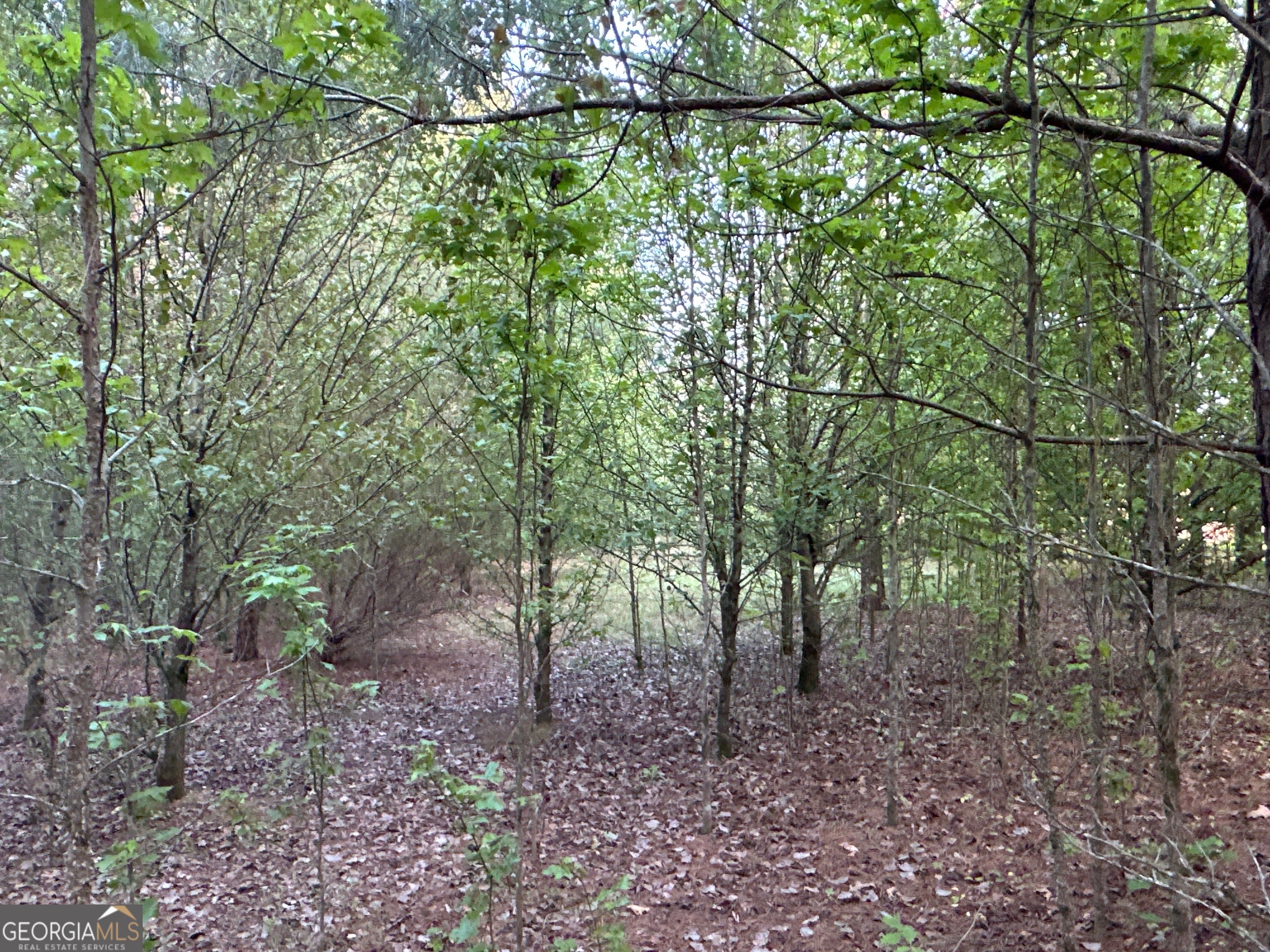 LOT 7 County Road 520