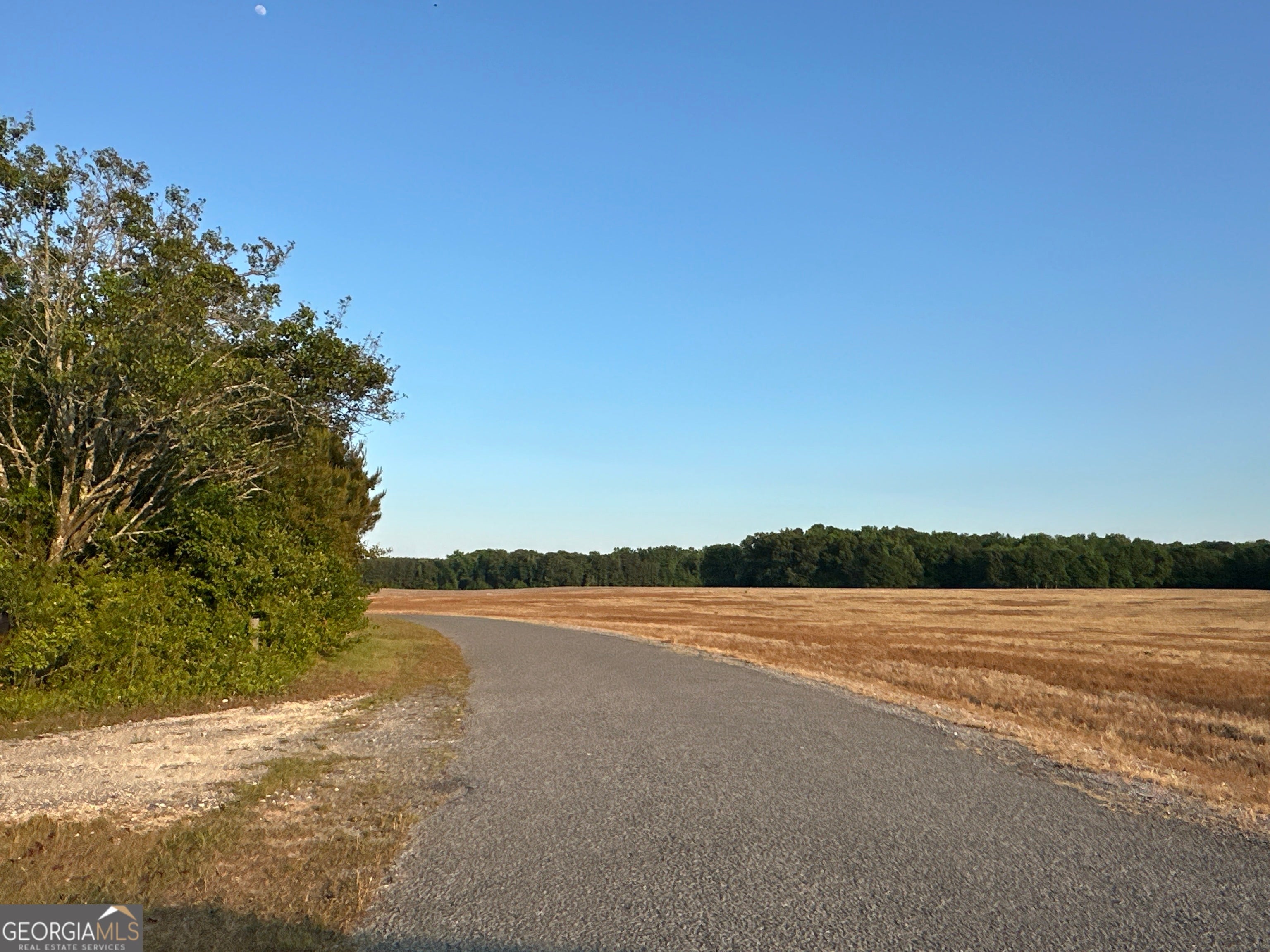 LOT 7 County Road 520