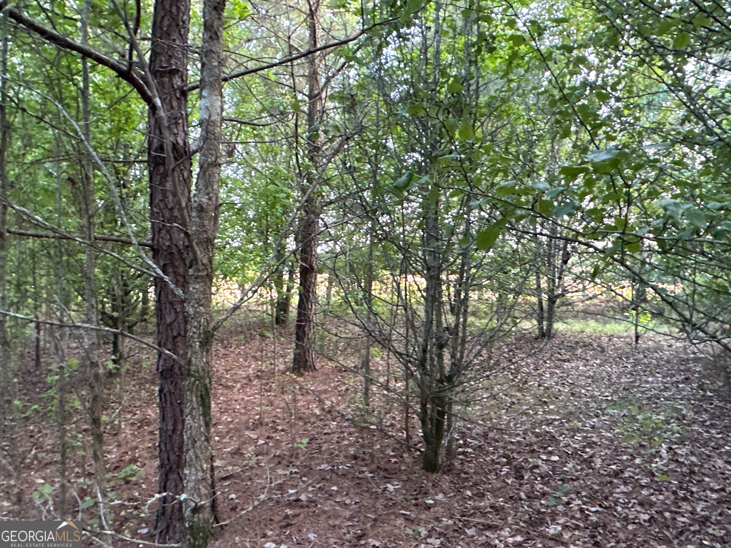 LOT 7 County Road 520