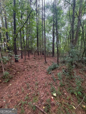 822 TABBY LN, ATHENS, GA 30605 - Image df8e6972e21babe463e1d6ff200a5bc7/2084432864