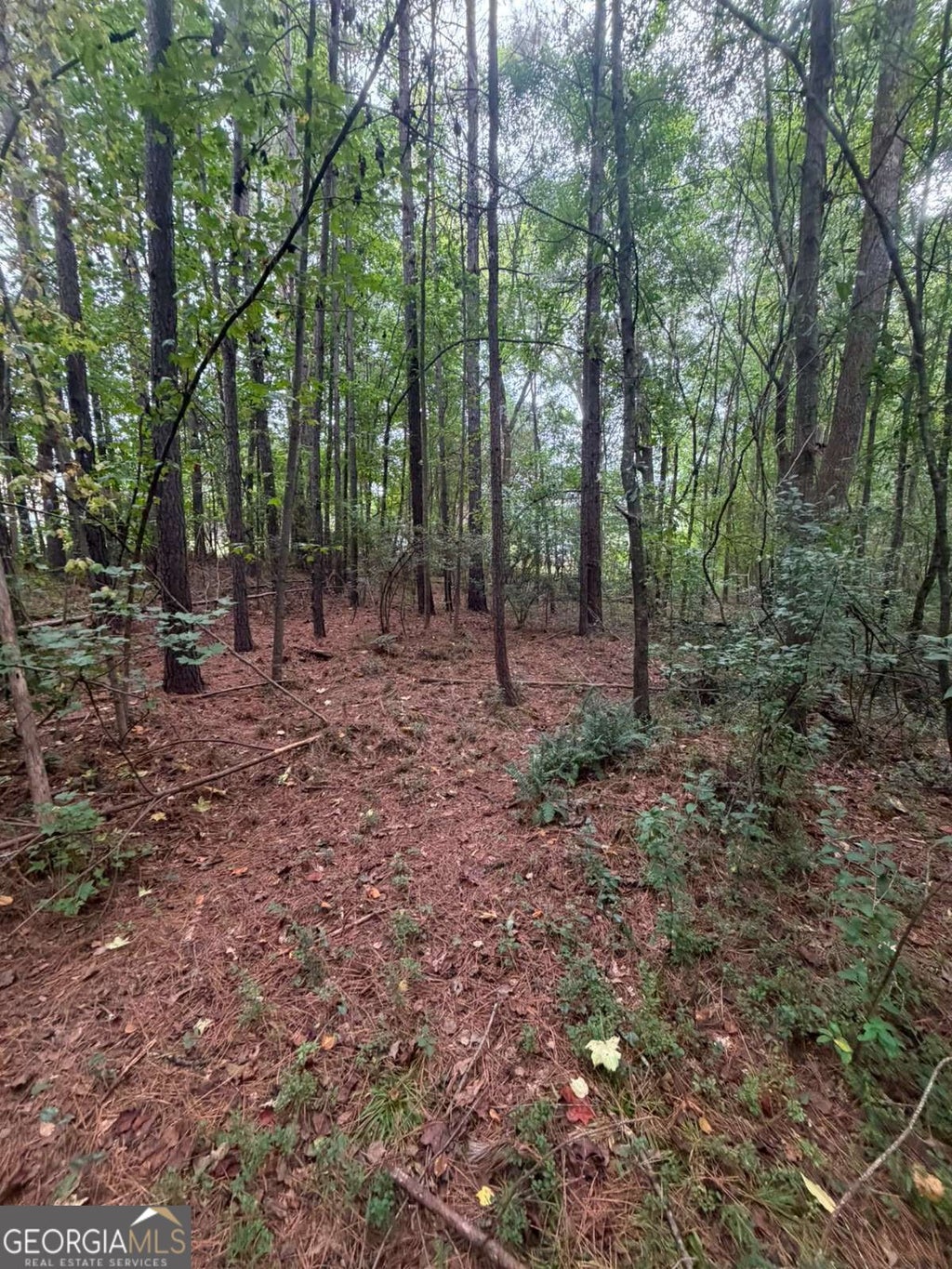 Photo of 822 Tabby Lane, Athens, GA 30605 (MLS # 10849386)