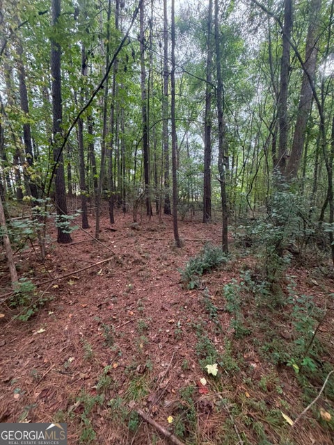 Photo of 822 Tabby Lane, Athens, GA 30605 (MLS # 10849386)