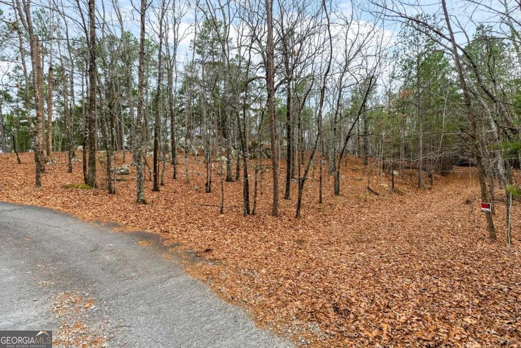 Photo of 251 Winding River Road, Eatonton, GA 31024 (MLS # 10678898)