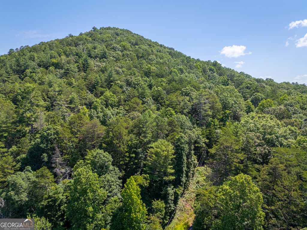 Photo of 0 Hurricane Ridge Road, Sautee Nacoochee, GA 30571 (MLS # 10736941)