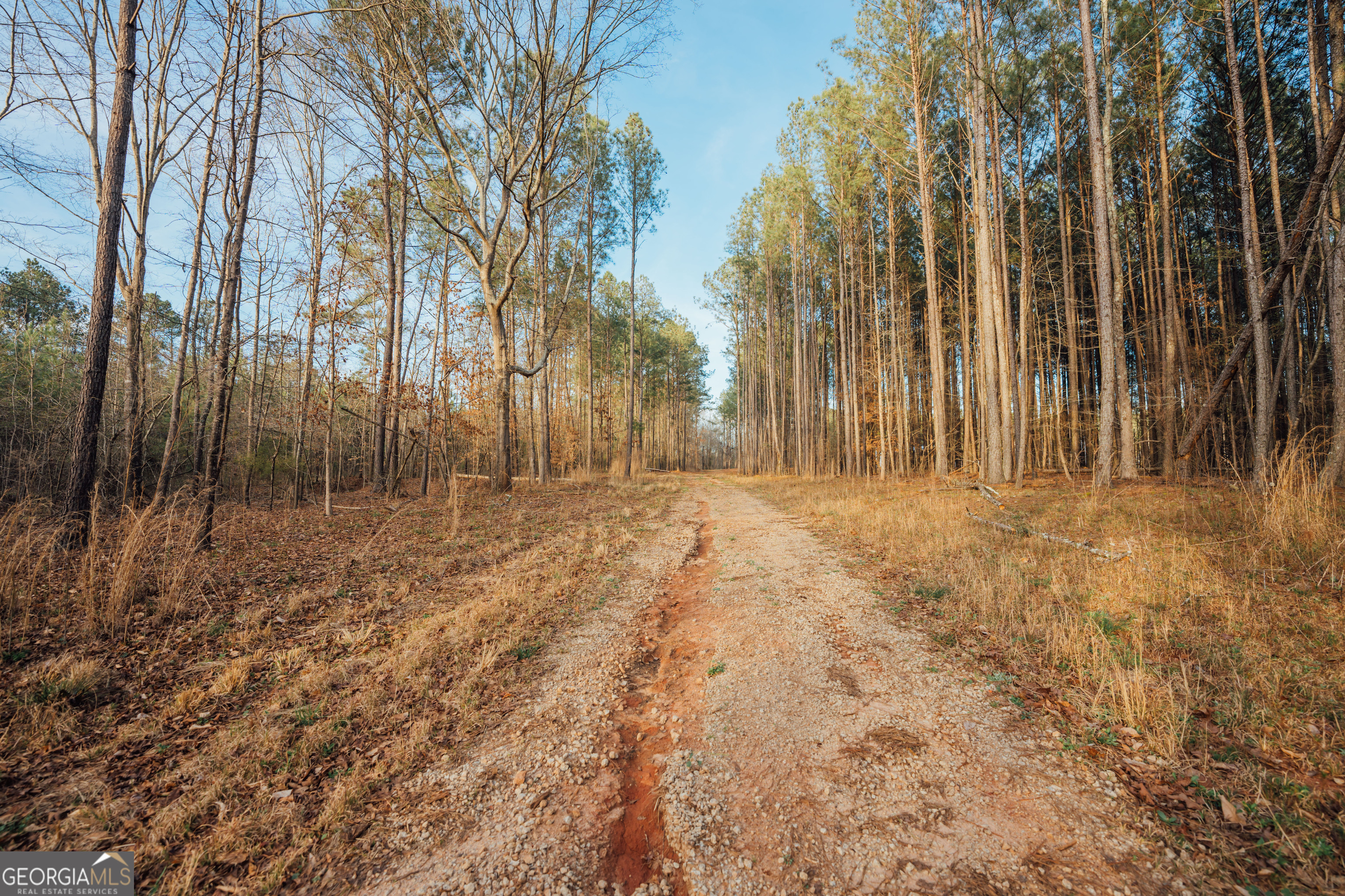 28.61 ACRES Sandy Creek RD