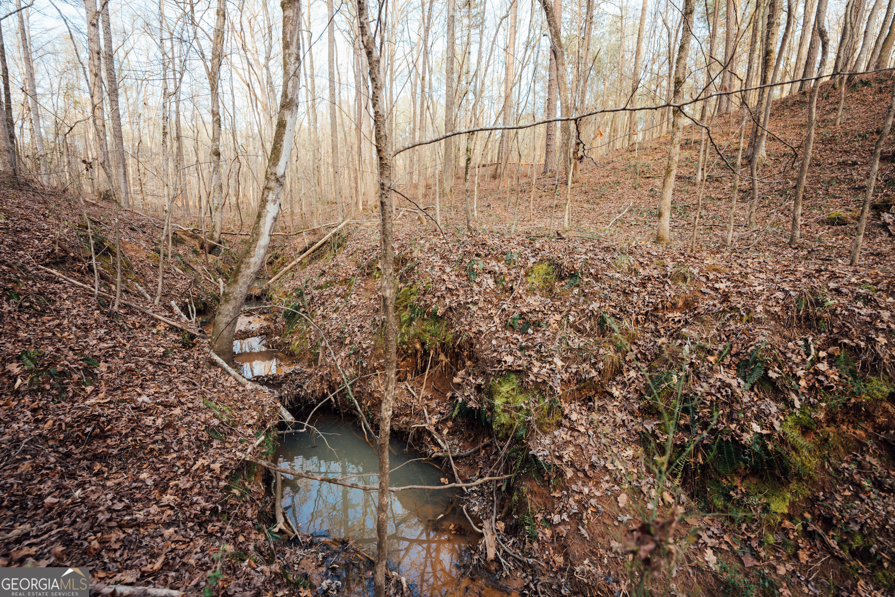 28.61 ACRES Sandy Creek RD