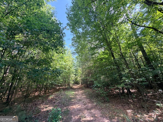 199 BUNCH RD, TIGNALL, GA 30668 - Image dfc491ba7b9bea0a223ecbde7f0c81d7/530152977