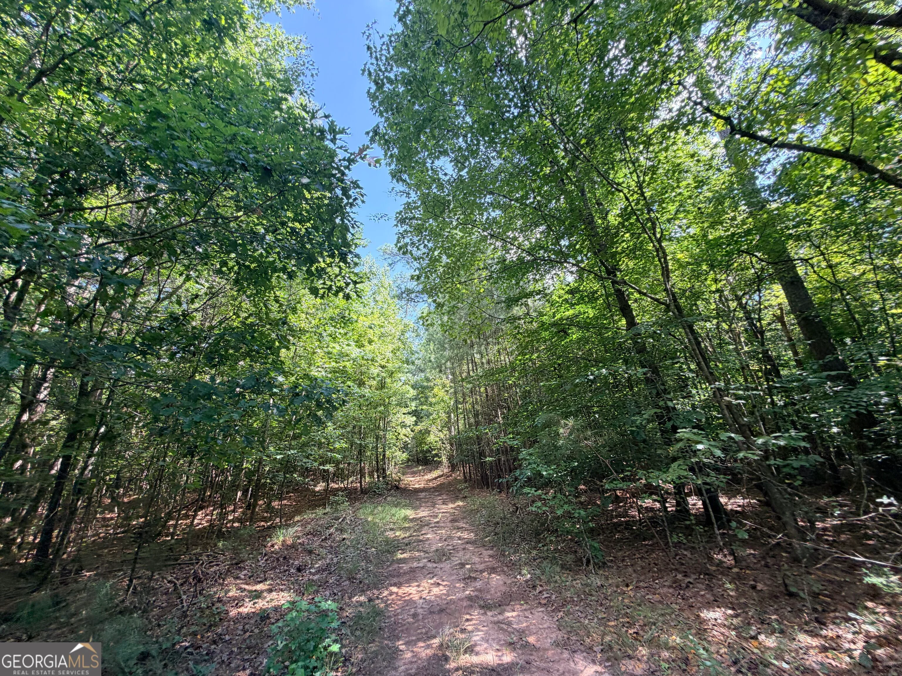 8 Bunch Road, Tignall, GA, 30668